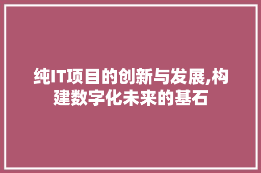 纯IT项目的创新与发展,构建数字化未来的基石