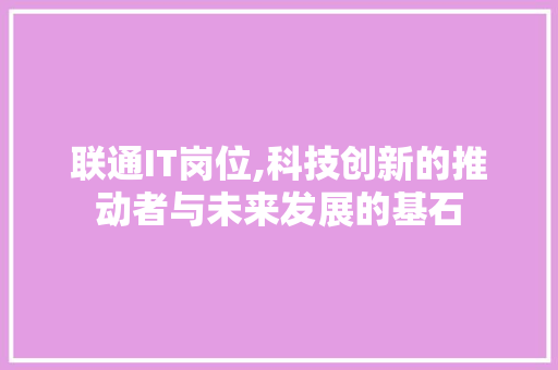 联通IT岗位,科技创新的推动者与未来发展的基石