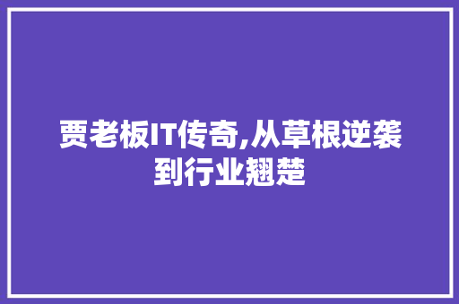 贾老板IT传奇,从草根逆袭到行业翘楚