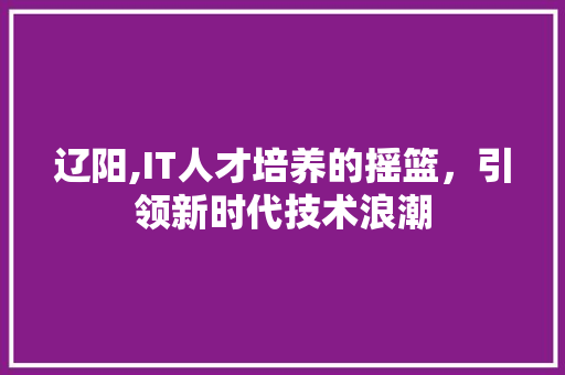辽阳,IT人才培养的摇篮，引领新时代技术浪潮