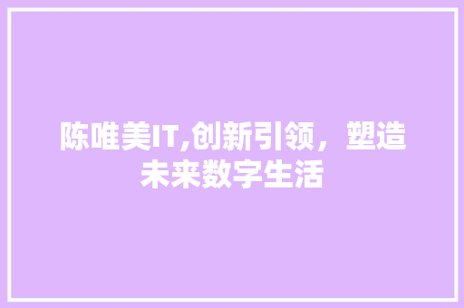 陈唯美IT,创新引领，塑造未来数字生活