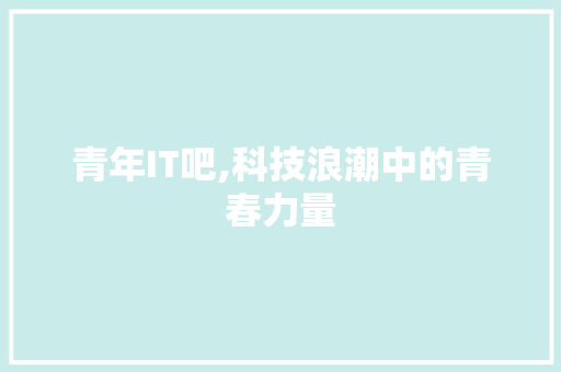青年IT吧,科技浪潮中的青春力量