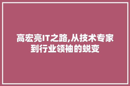 高宏亮IT之路,从技术专家到行业领袖的蜕变