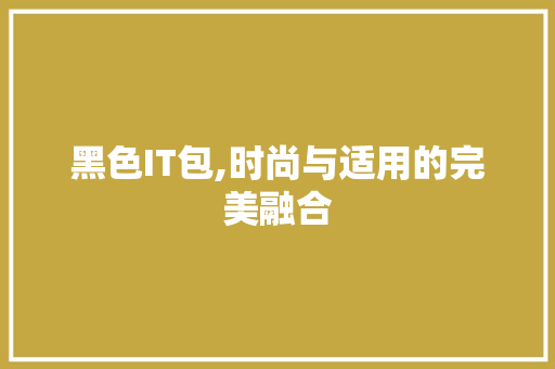 黑色IT包,时尚与适用的完美融合
