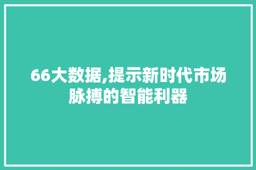 66大数据,提示新时代市场脉搏的智能利器