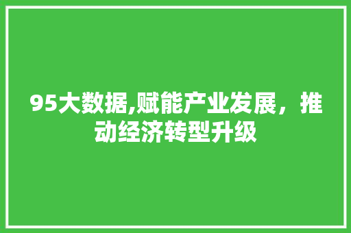 95大数据,赋能产业发展，推动经济转型升级