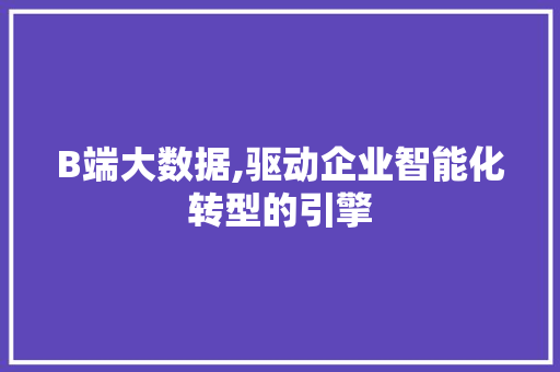 B端大数据,驱动企业智能化转型的引擎