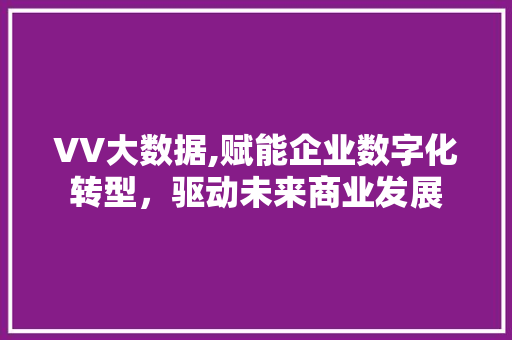 VV大数据,赋能企业数字化转型，驱动未来商业发展