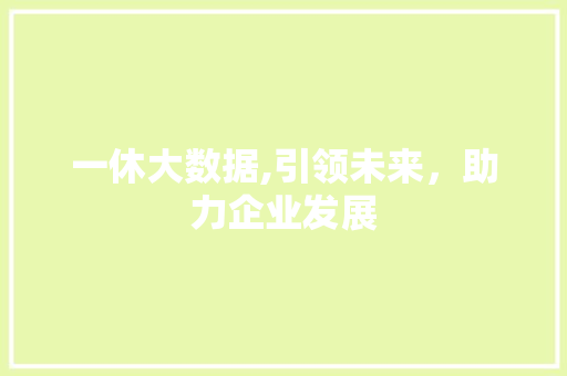 一休大数据,引领未来，助力企业发展