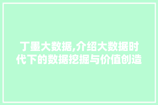 丁墨大数据,介绍大数据时代下的数据挖掘与价值创造
