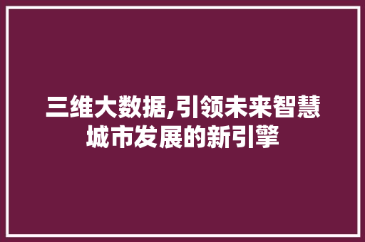 三维大数据,引领未来智慧城市发展的新引擎