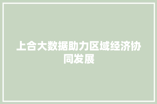 上合大数据助力区域经济协同发展