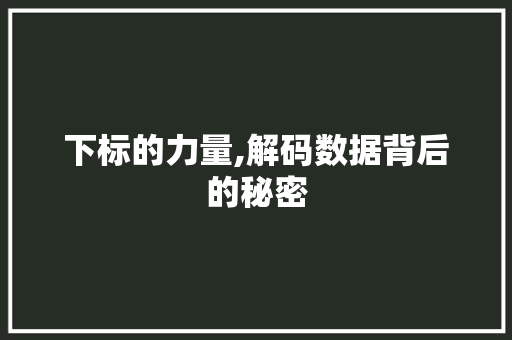 下标的力量,解码数据背后的秘密