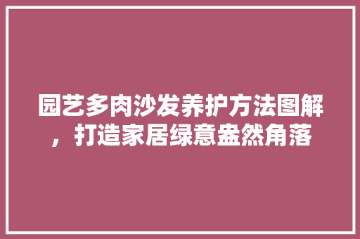 园艺多肉沙发养护方法图解，打造家居绿意盎然角落