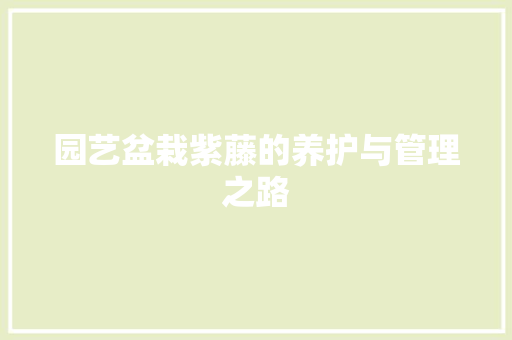 园艺盆栽紫藤的养护与管理之路