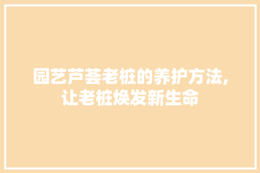 园艺芦荟老桩的养护方法,让老桩焕发新生命 植物种类