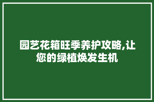 园艺花箱旺季养护攻略,让您的绿植焕发生机