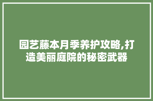 园艺藤本月季养护攻略,打造美丽庭院的秘密武器