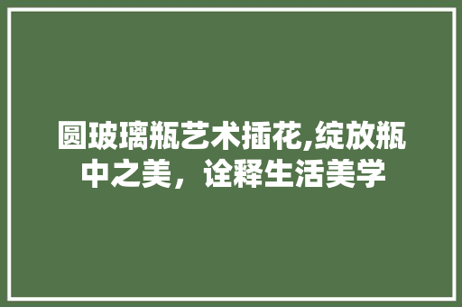 圆玻璃瓶艺术插花,绽放瓶中之美，诠释生活美学