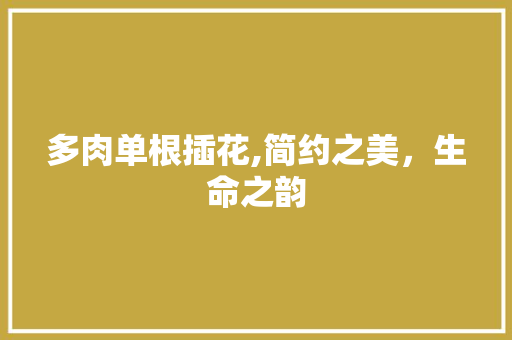 多肉单根插花,简约之美，生命之韵