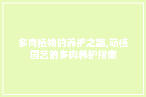 多肉植物的养护之路,萌植园艺的多肉养护指南