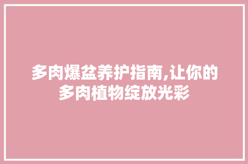 多肉爆盆养护指南,让你的多肉植物绽放光彩