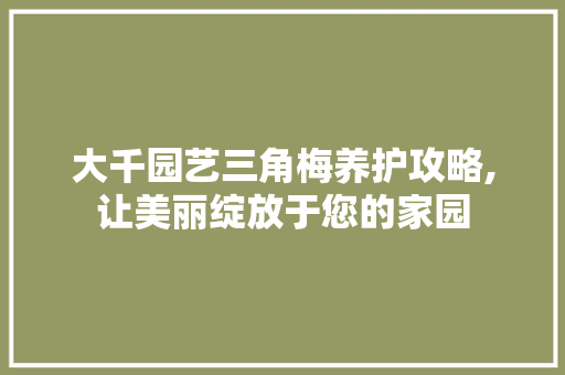 大千园艺三角梅养护攻略,让美丽绽放于您的家园