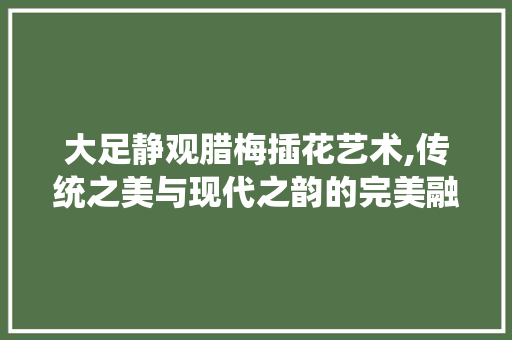 大足静观腊梅插花艺术,传统之美与现代之韵的完美融合