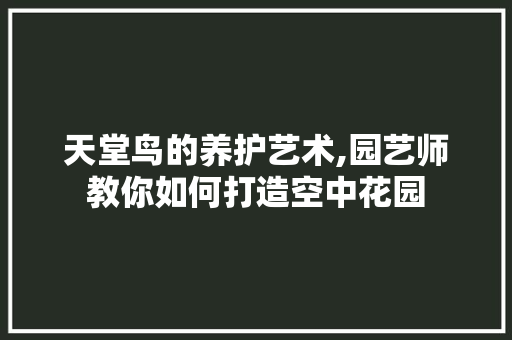 天堂鸟的养护艺术,园艺师教你如何打造空中花园