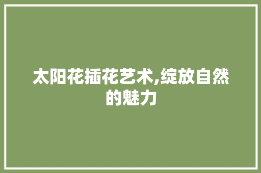 太阳花插花艺术,绽放自然的魅力