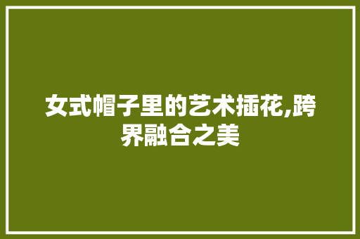 女式帽子里的艺术插花,跨界融合之美