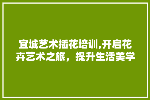 宜城艺术插花培训,开启花卉艺术之旅，提升生活美学 土壤施肥