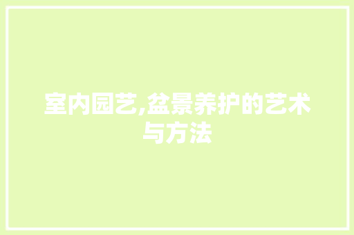 室内园艺,盆景养护的艺术与方法 番茄种植技巧