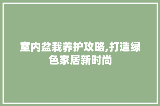 室内盆栽养护攻略,打造绿色家居新时尚 番茄种植技巧