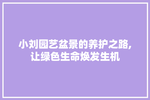 小刘园艺盆景的养护之路,让绿色生命焕发生机