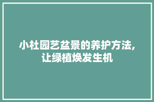 小杜园艺盆景的养护方法,让绿植焕发生机