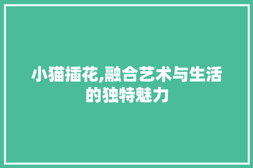 小猫插花,融合艺术与生活的独特魅力
