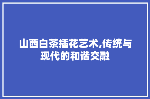 山西白茶插花艺术,传统与现代的和谐交融