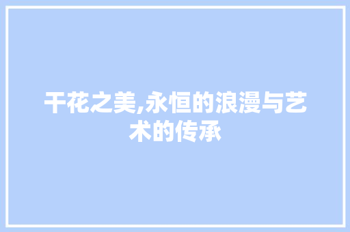 干花之美,永恒的浪漫与艺术的传承