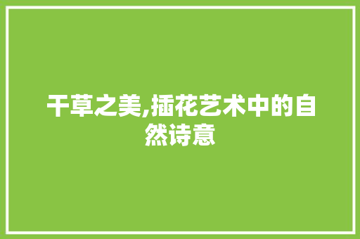 干草之美,插花艺术中的自然诗意