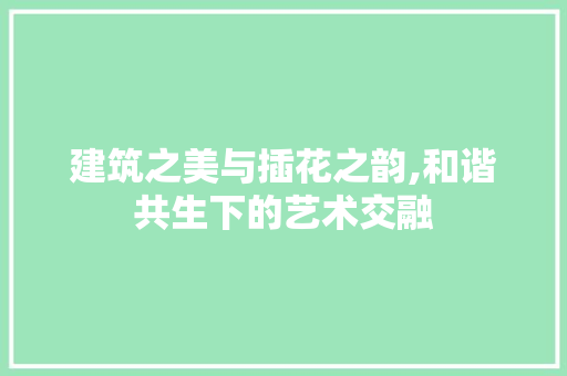 建筑之美与插花之韵,和谐共生下的艺术交融 花朵知识