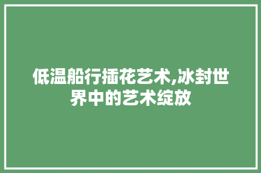 低温船行插花艺术,冰封世界中的艺术绽放