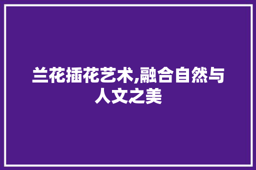 兰花插花艺术,融合自然与人文之美