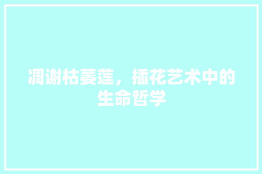凋谢枯萎莲，插花艺术中的生命哲学