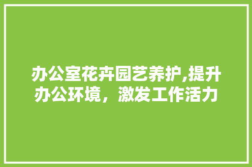办公室花卉园艺养护,提升办公环境，激发工作活力 土壤施肥