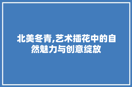 北美冬青,艺术插花中的自然魅力与创意绽放