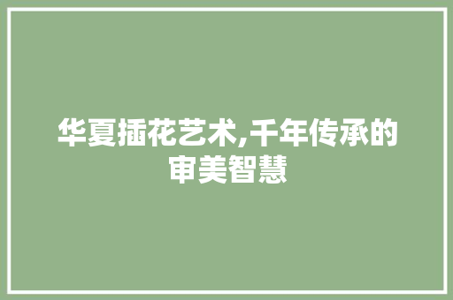 华夏插花艺术,千年传承的审美智慧