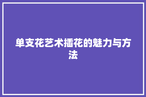 单支花艺术插花的魅力与方法