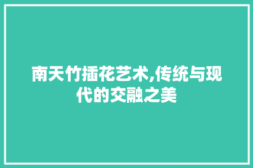 南天竹插花艺术,传统与现代的交融之美