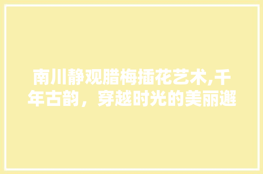 南川静观腊梅插花艺术,千年古韵，穿越时光的美丽邂逅